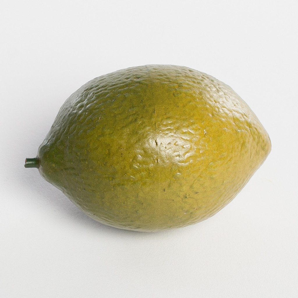 Artificial Citrus Fruit Product categories Justice Distribution