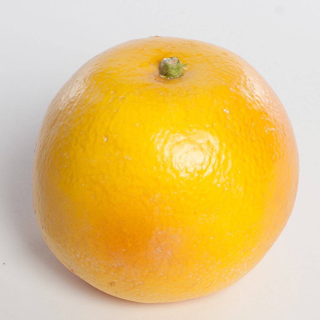 Artificial Citrus Fruit Product categories Justice Distribution