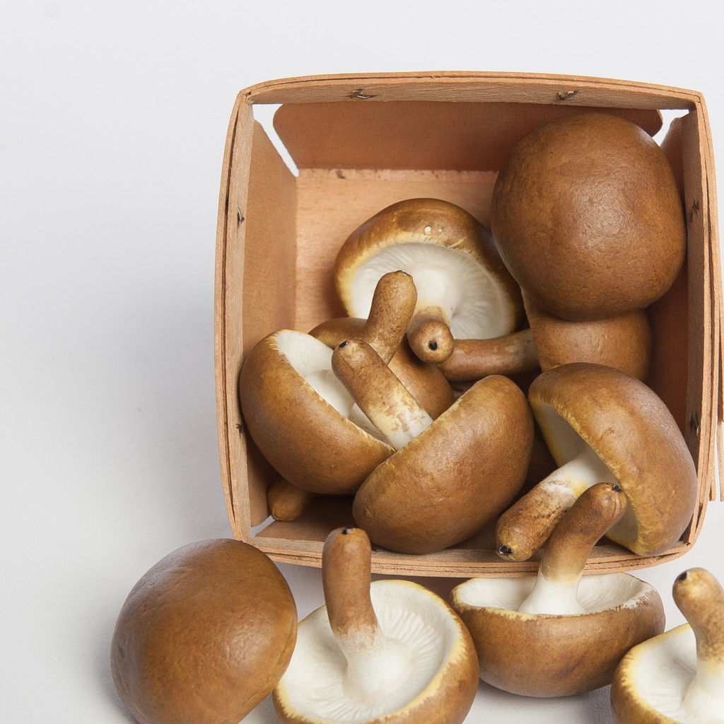 Artificial Mushrooms Product categories Justice Distribution